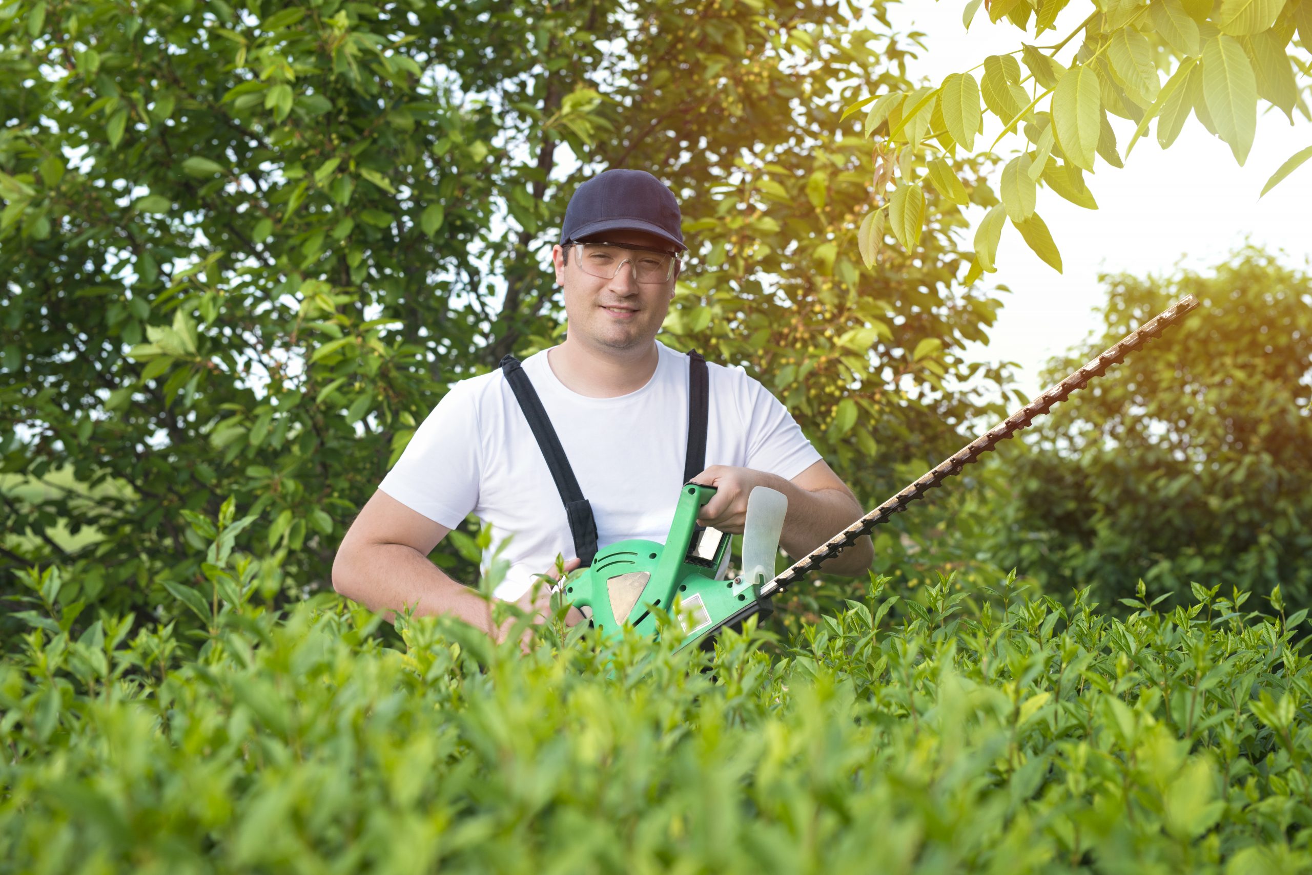 Das Team von BAS Gartenpflege bei der Arbeit